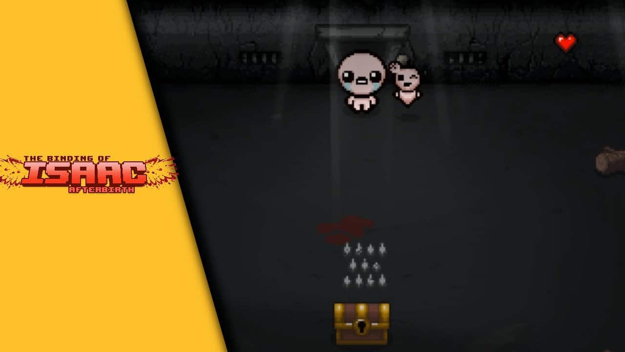 The Binding of Isaac Coop The Binding of Isaac Coop