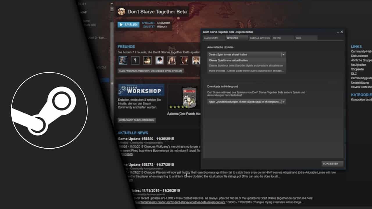 Steam Update verhindern