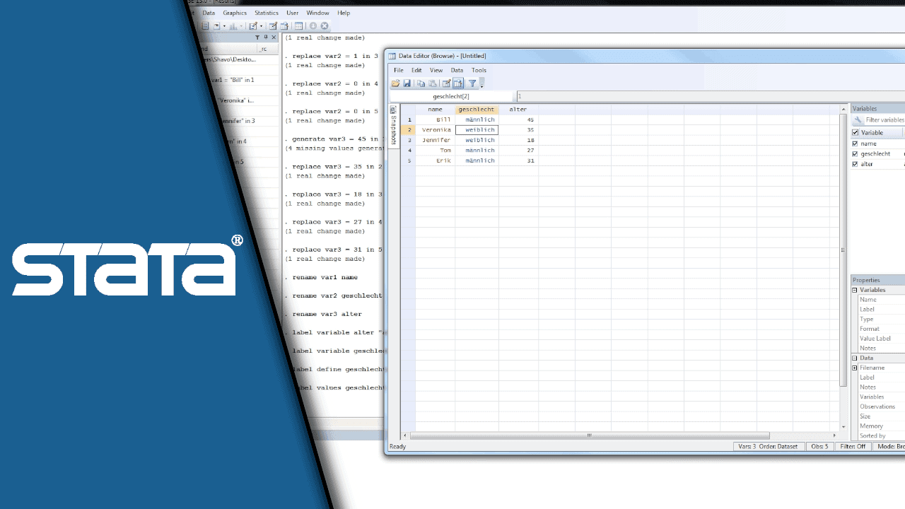 Stata Label Stata Label