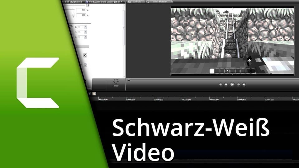 Camtasia Schwarz Weiß Video + Übergangseffekt | Tutorial: Vorschaubild zum YouTube-Tutorial von TechnikShavo