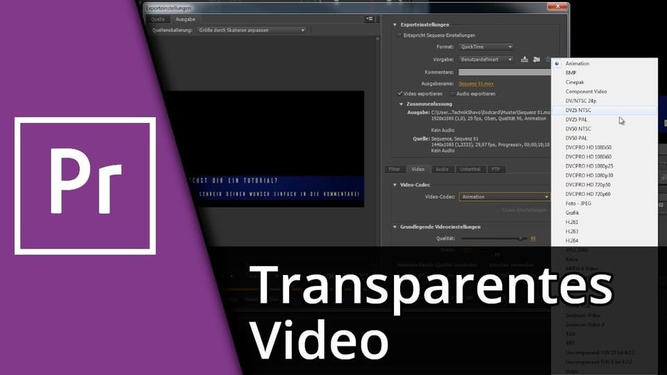 Premiere Pro Transparentes Video rendern | Tutorial: Vorschaubild zum YouTube-Tutorial von TechnikShavo