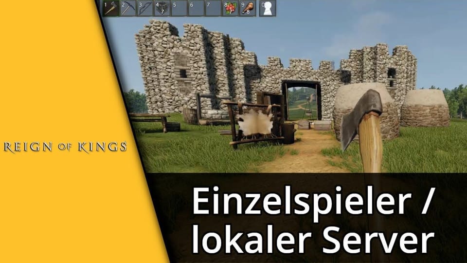 Reign of Kings Einzelspieler / Lokaler Server | Tutorial: Vorschaubild zum YouTube-Tutorial von TechnikShavo