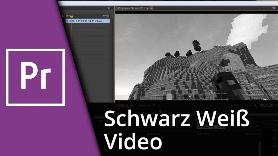 Schwarz Weiß Video mit Adobe Premiere | Tutorial: Vorschaubild zum YouTube-Tutorial von TechnikShavo
