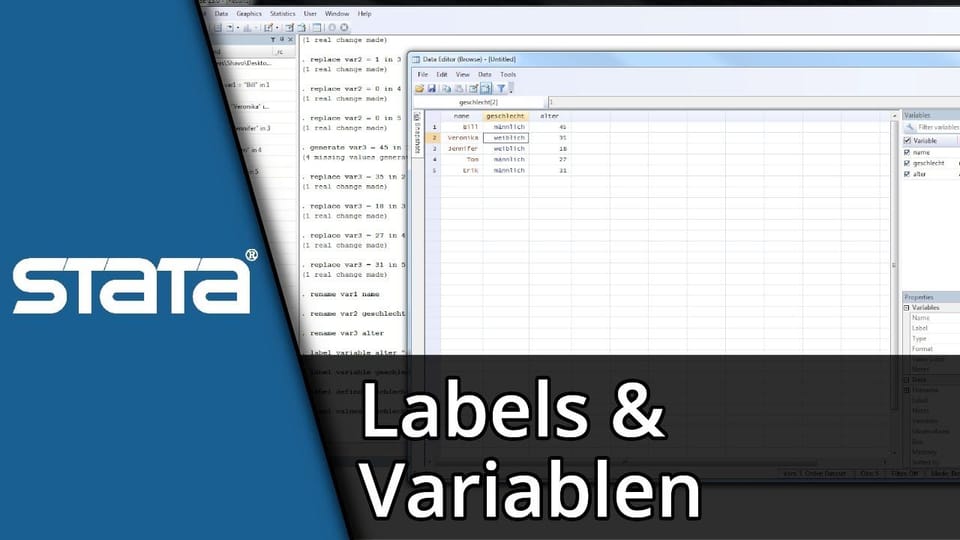 Stata lernen #02 | Stata Label und Variablen nutzen | Tutorial: Vorschaubild zum YouTube-Tutorial von TechnikShavo