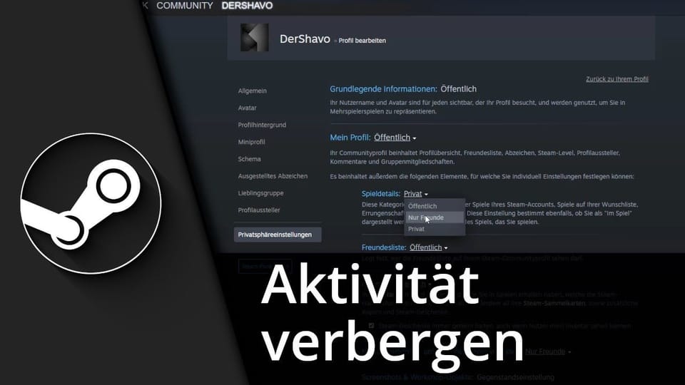 Steam Aktivität verbergen | Tutorial: Vorschaubild zum YouTube-Tutorial von TechnikShavo