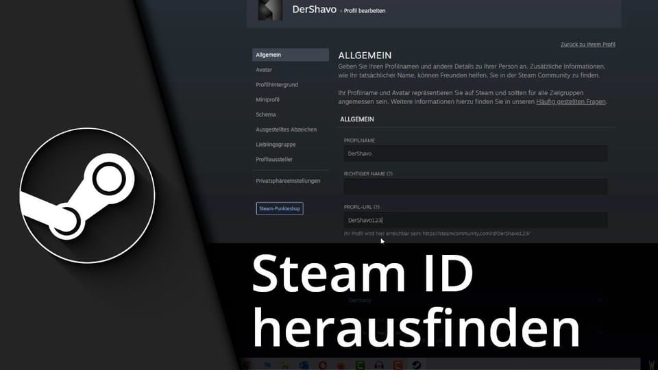 Steam ID herausfinden / Steam ID Finder | Tutorial: Vorschaubild zum YouTube-Tutorial von TechnikShavo