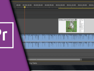 Adobe Premiere Audio von Video trennen
