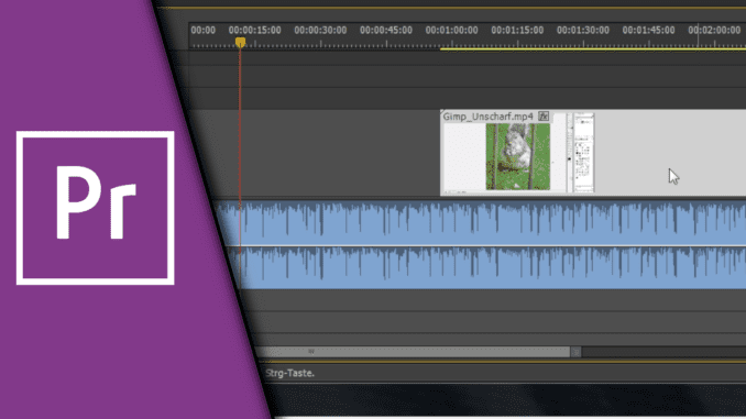 Adobe Premiere Audio von Video trennen