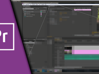 Adobe Premiere Verpixeln