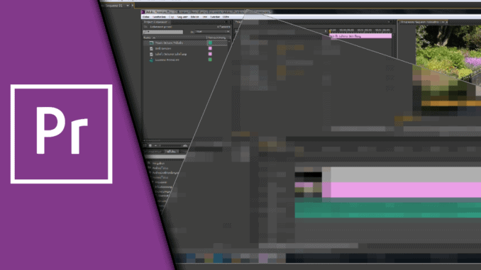 Adobe Premiere Verpixeln