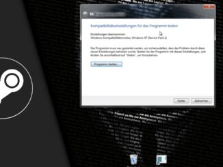 Steam Spiel startet nicht