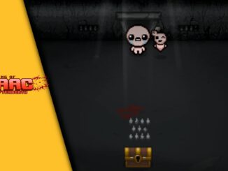 The Binding of Isaac Coop