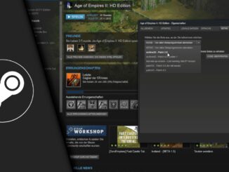 Steam Update rückgängig