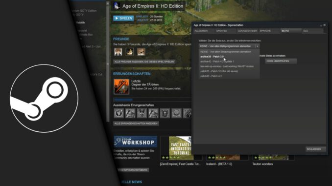 Steam Update rückgängig