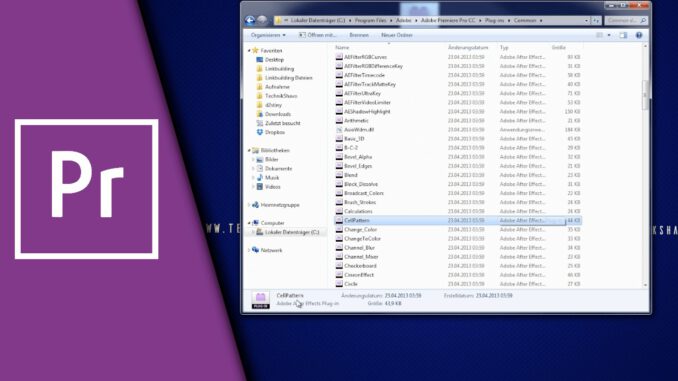Adobe Premiere Plugin installieren
