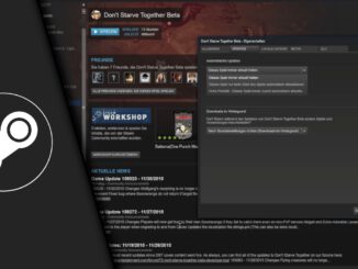 Steam Update verhindern