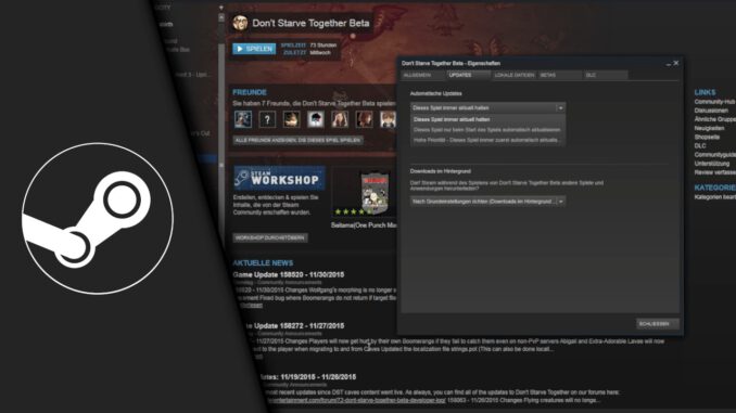 Steam Update verhindern