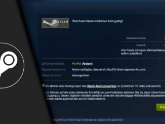 Steam unrunde Beträge