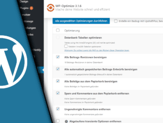 Wordpress Revisionen löschen