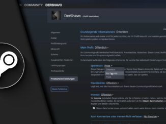 Steam Aktivität verbergen