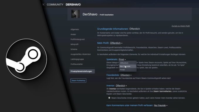 Steam Aktivität verbergen