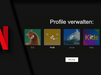 Netflix Profil löschen